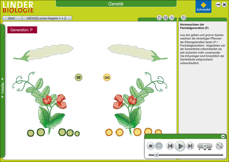 Westermann Gruppe Interaktive CD-ROMs zu Biologie-Schulbüchern