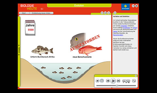 Westermann Gruppe Interaktive CD-ROMs zu den Schulbüchern Biologie heute entdecken und LINDER Biologie